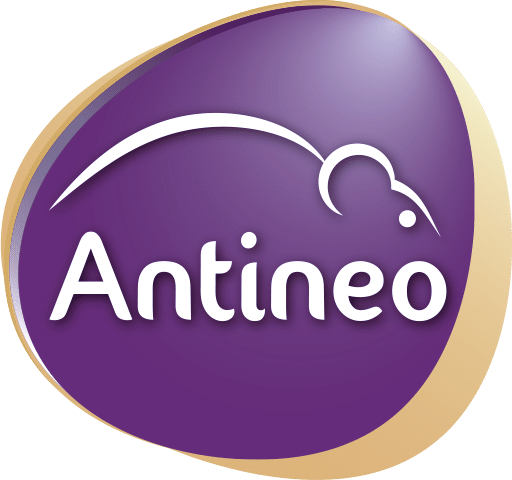 Antineo