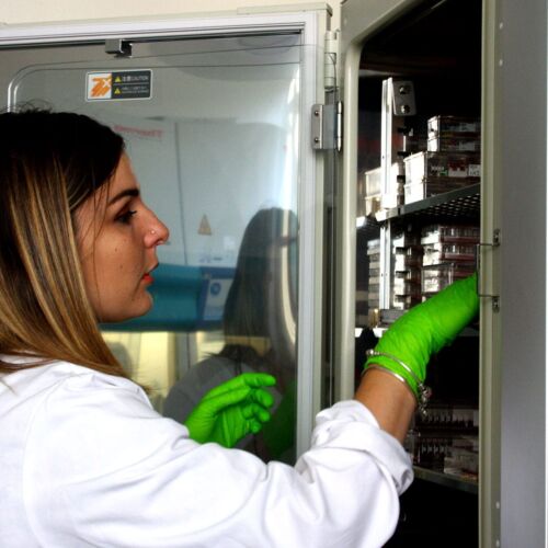 In vitro oncology research at Antineo