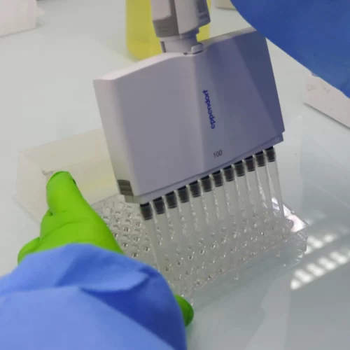 Laboratory equipment for ex vivo studies