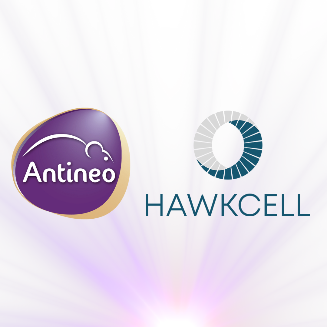 Antineo x Hawkcell